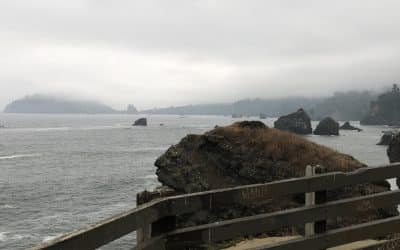 Luffenholtz Beach and Overlook